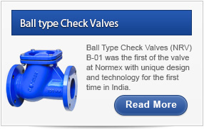 Ball Type Check Valves
